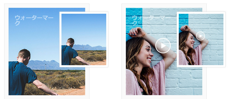 Apowersoft Watermark Remover