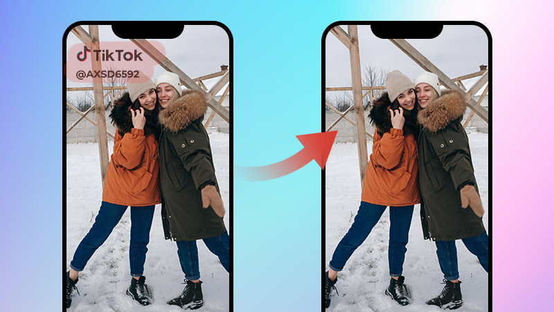 TikTok 透かし除去ソフト9選