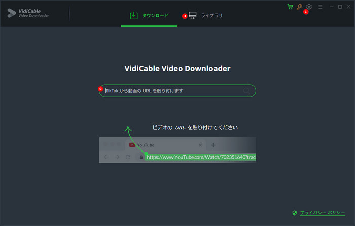 VidiCableでtiktok動画を保存